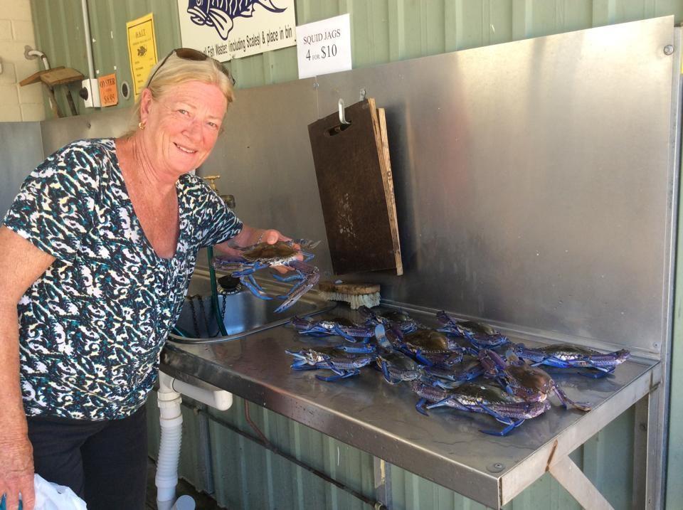 Ceduna Foreshore Caravan Park Eksteriør bilde